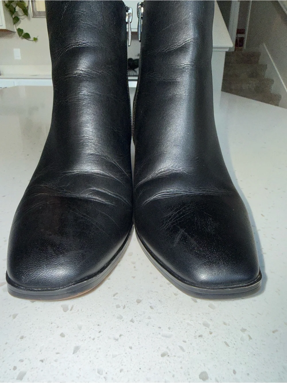 Franco Sarto sleek black